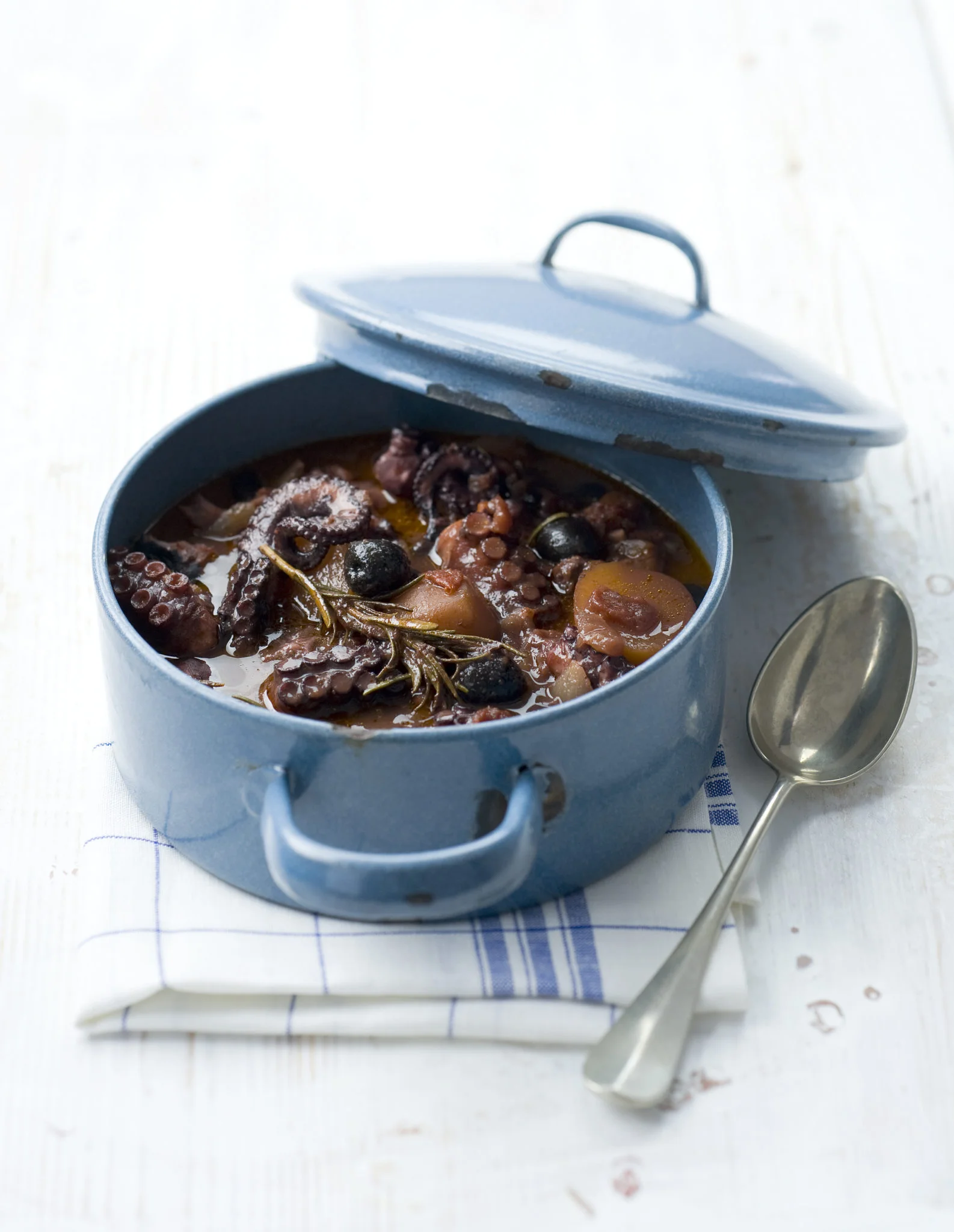 Food and Travel food styling photoshoot by Sander de Ponti and Rob van de Vet