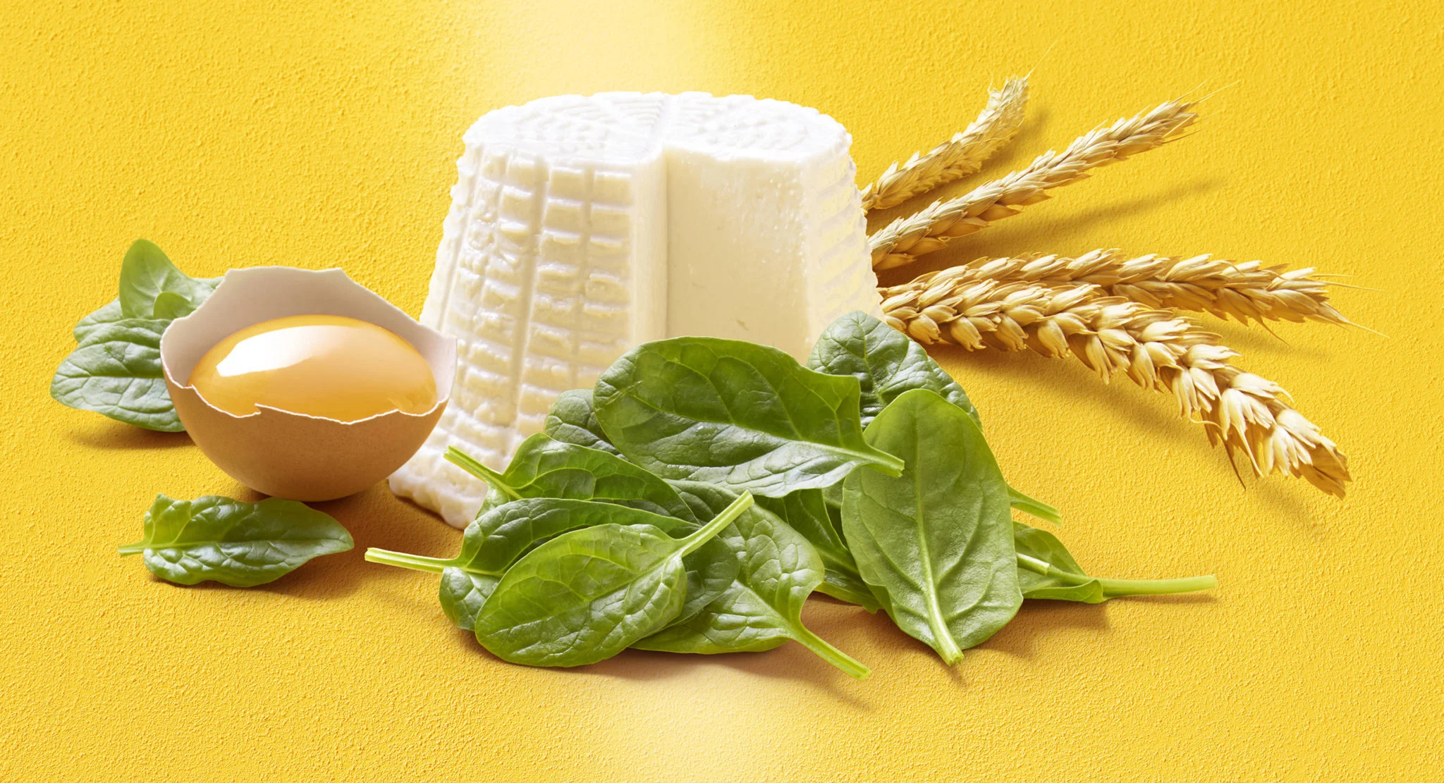 Grand'Italia food styling photoshoot by Sander de Ponti and Robias Reymond foto/film